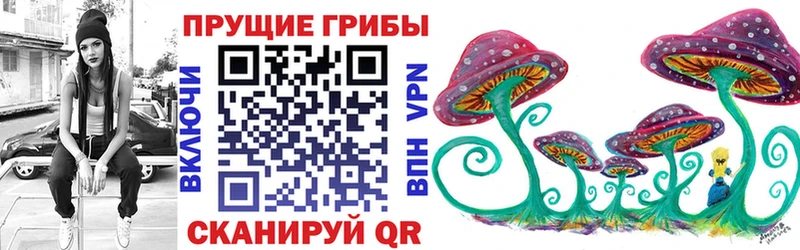 Купить закладки  Краснокаменск  Галлюциногенные грибы GOLDEN TEACHER 